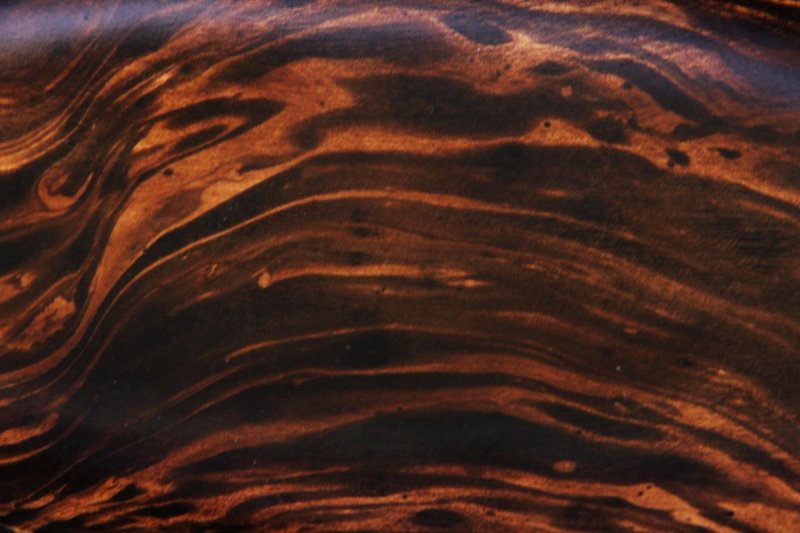 Эбеновое дерево