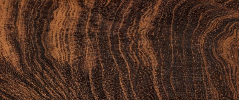 Срез дерева текстура