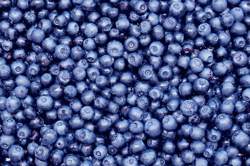 Черника Блуберри