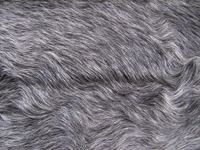 Шкура текстура