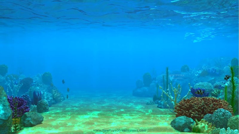 Фон для аквариума Juwel 2 XL