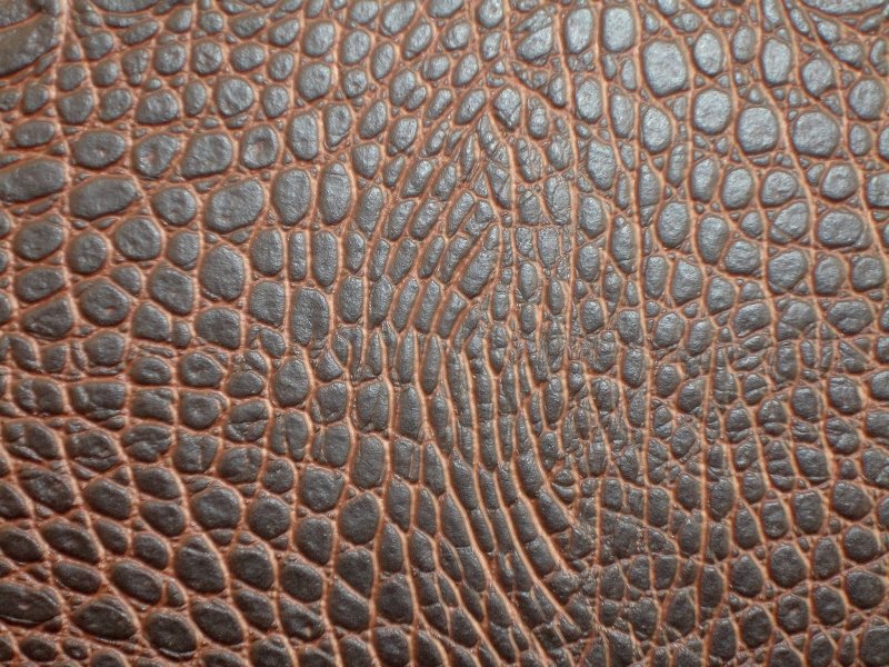 Кожа рептилий