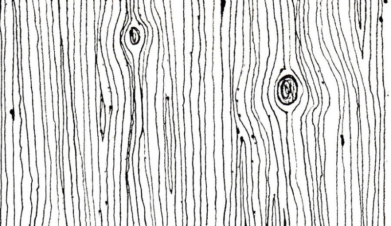 Текстура древесины