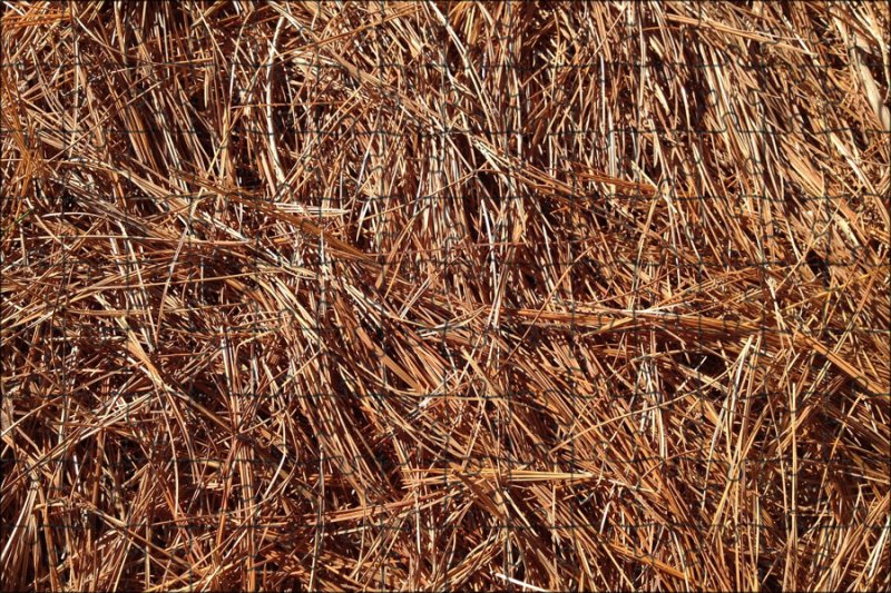 Солома текстура