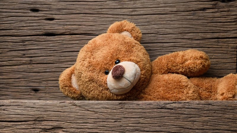 Плюшевый медведь