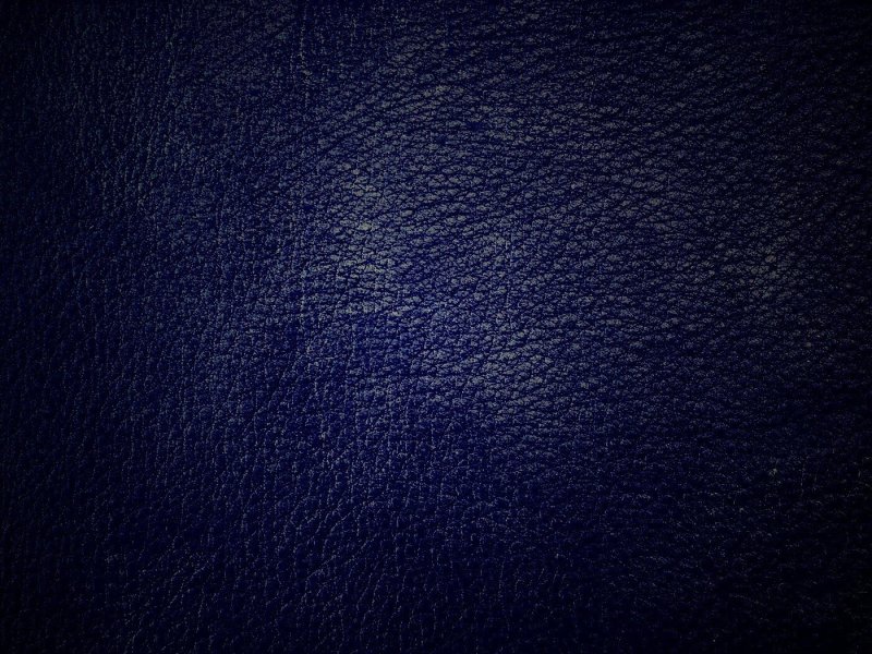 Текстура кожи