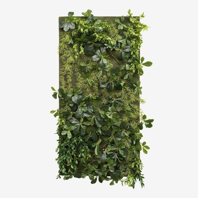 Фитостена BOXSAND