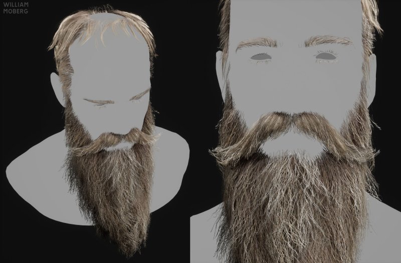 Фактура борода