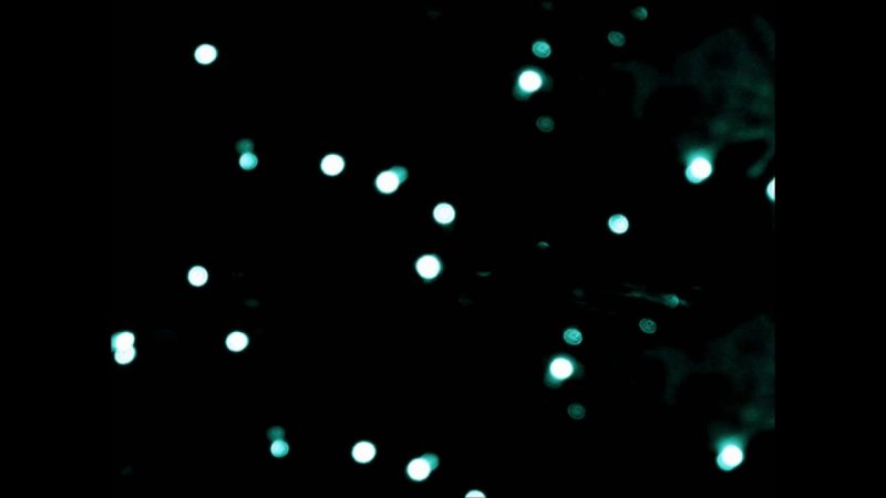 Блики на черном фоне