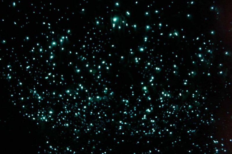 Светящиеся точки