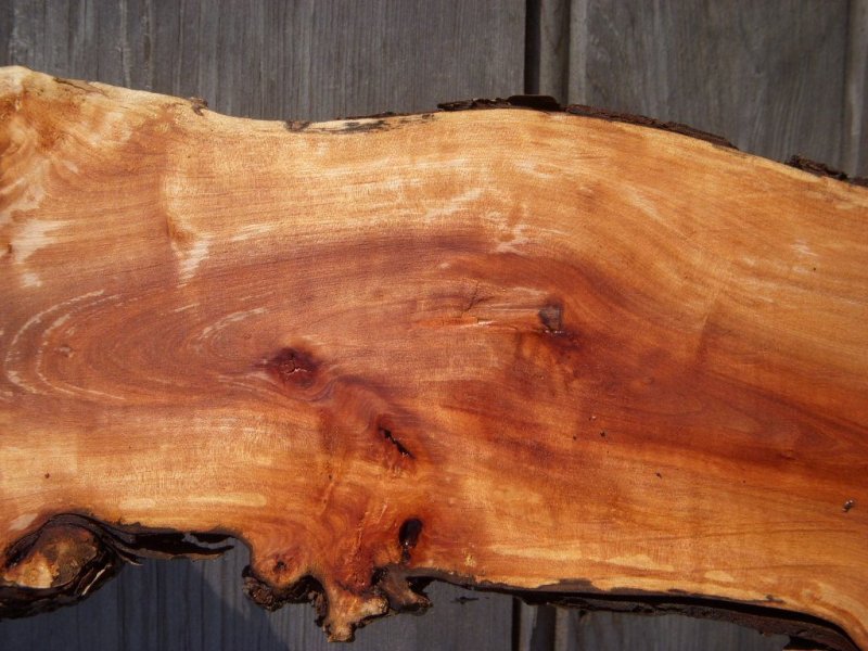 Древесина яблони