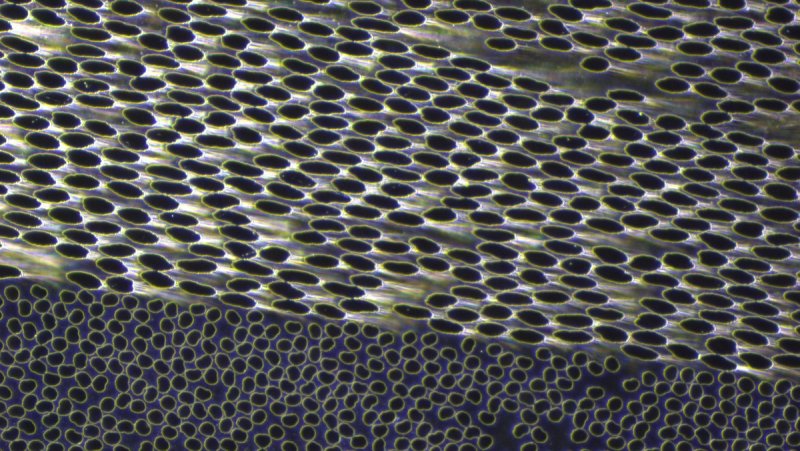 Carbon Fibre reinforced Polymer (CFRP)