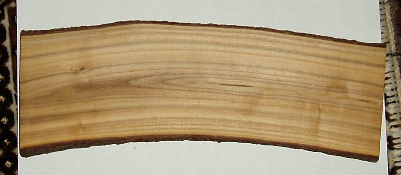 Древесина черемухи