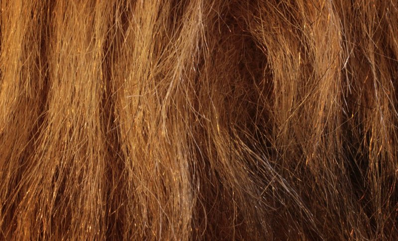 Текстура волос