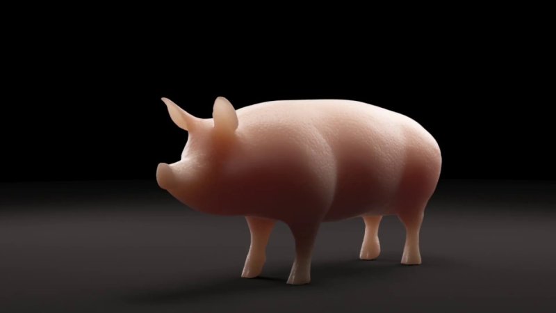 Текстура свиньи