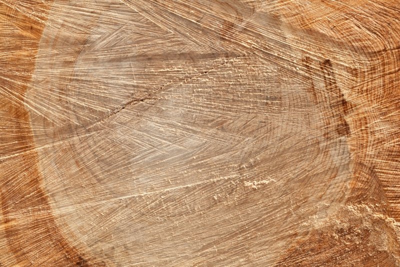 Текстура древесины