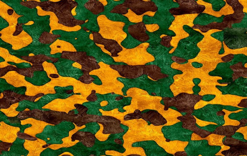 Камуфляжная расцветка