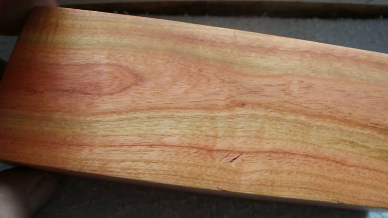 Древесина крушины