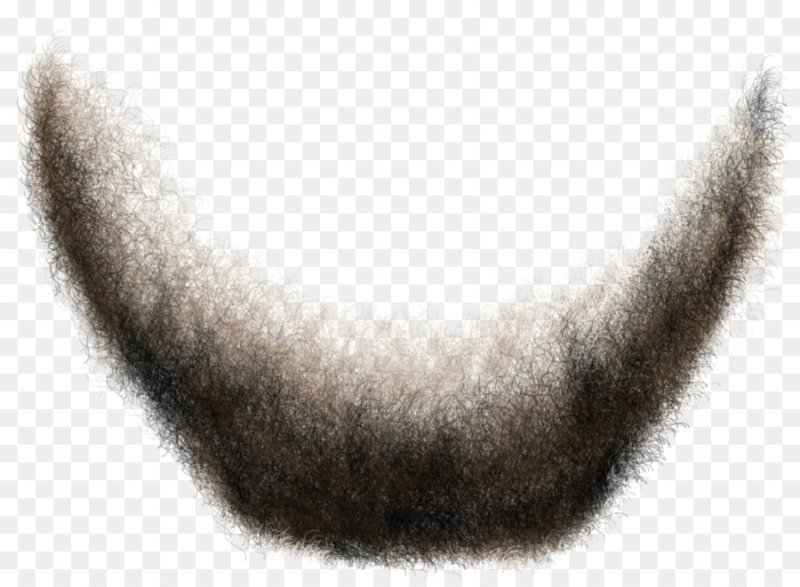 Борода для ФШ