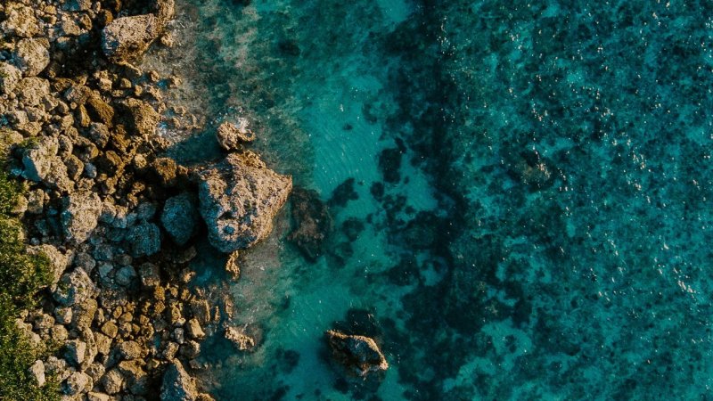 Морское дно сверху