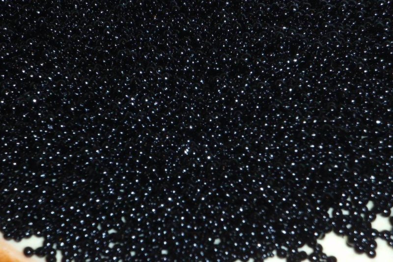 Caviar икра