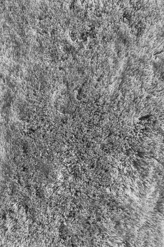 Серый ковер текстура