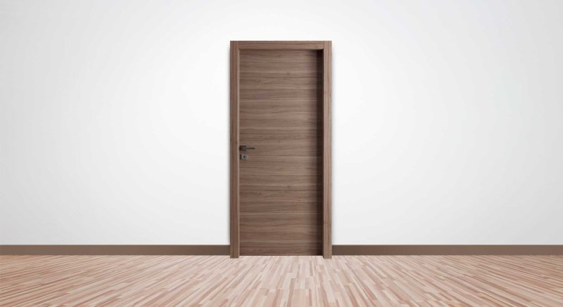 Двери в интерьере