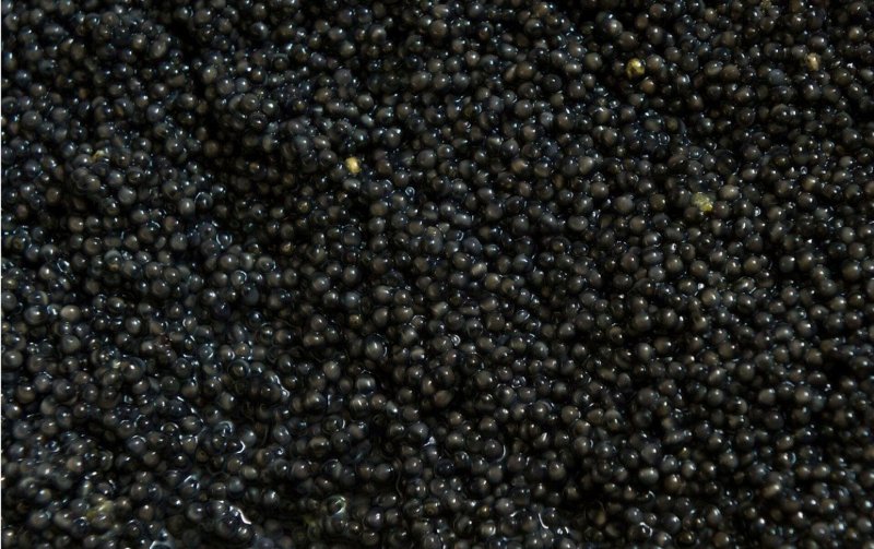 Черная икра