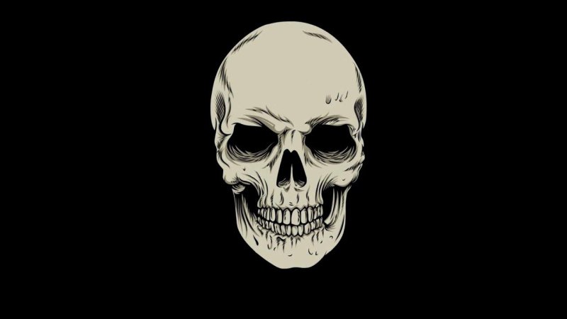 Череп на черном фоне