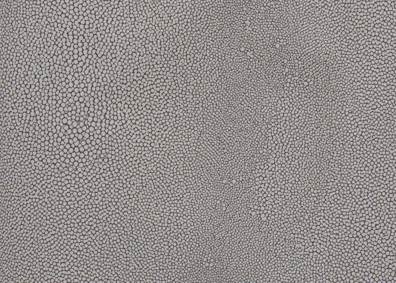 Шагрень кожа