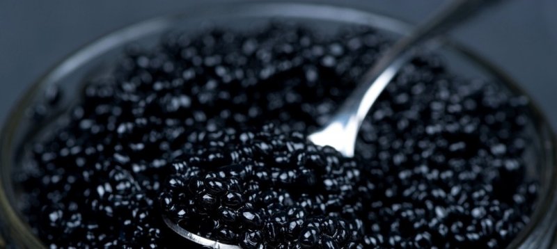 Черная икра