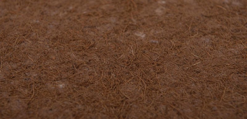 Текстура кокоса