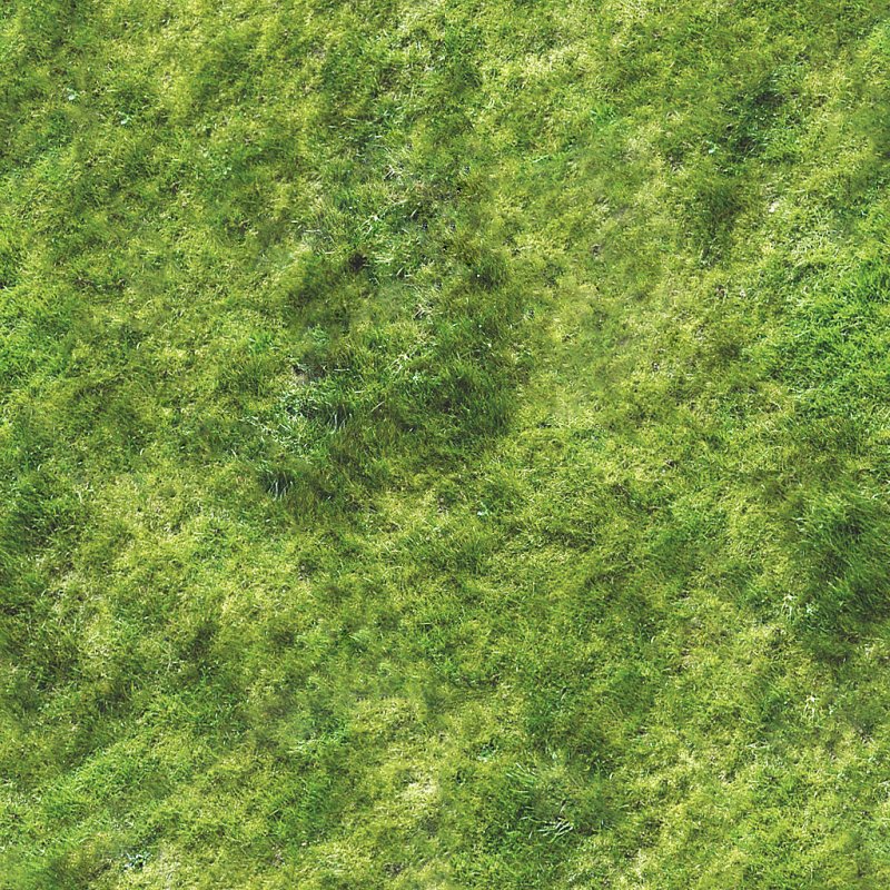 Текстура травы