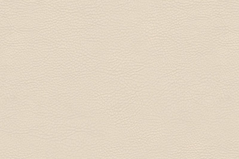 Бежевая кожа