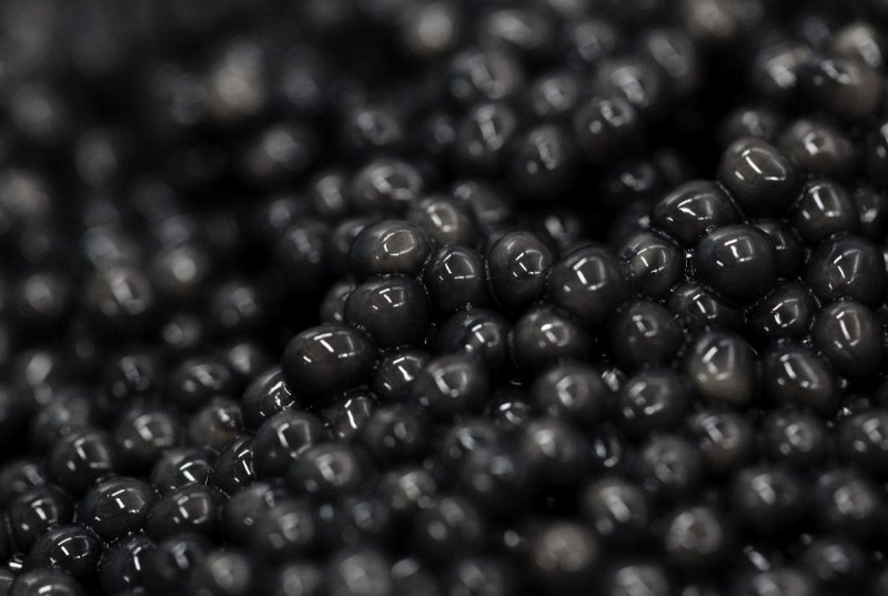 Черная икра текстура