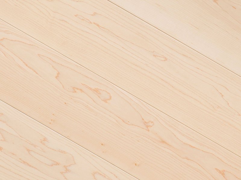 Липа текстура древесины