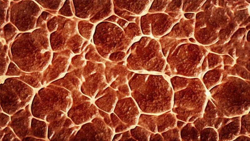 Текстура органики