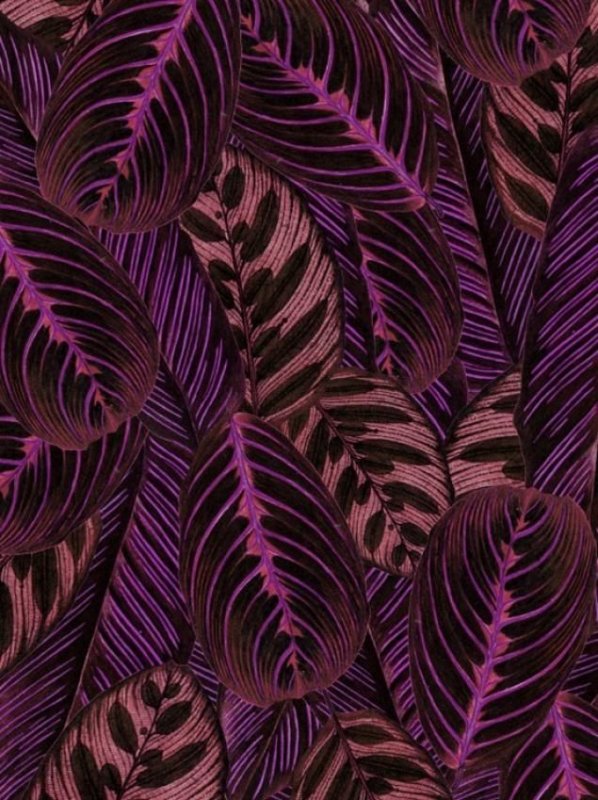 Фиолетовый принт