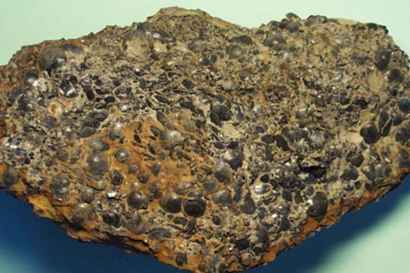 Фосфорит камень