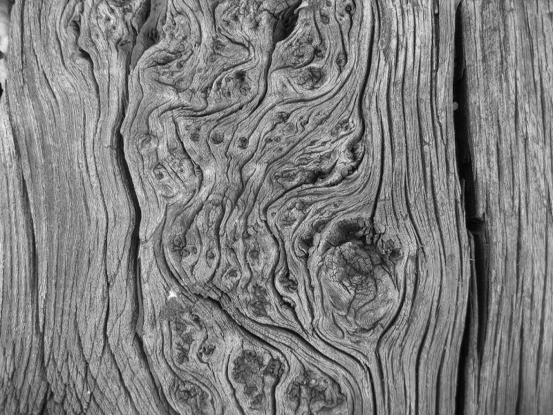 Фактура дерева