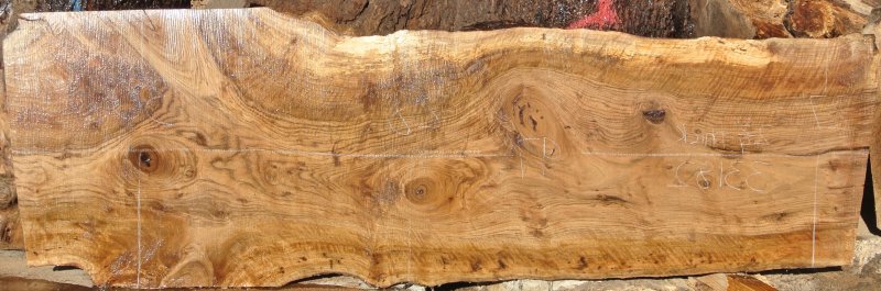 Слэб кедр карагач