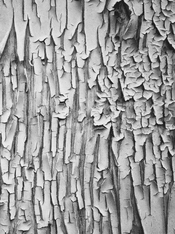 Zbrush Alpha кора дерева