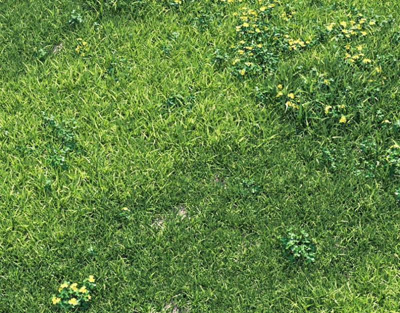 Текстура газона бесшовная для 3d Max