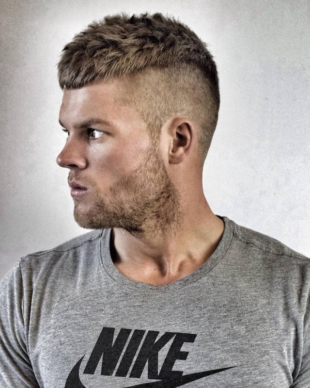 Кроп фейд 2022