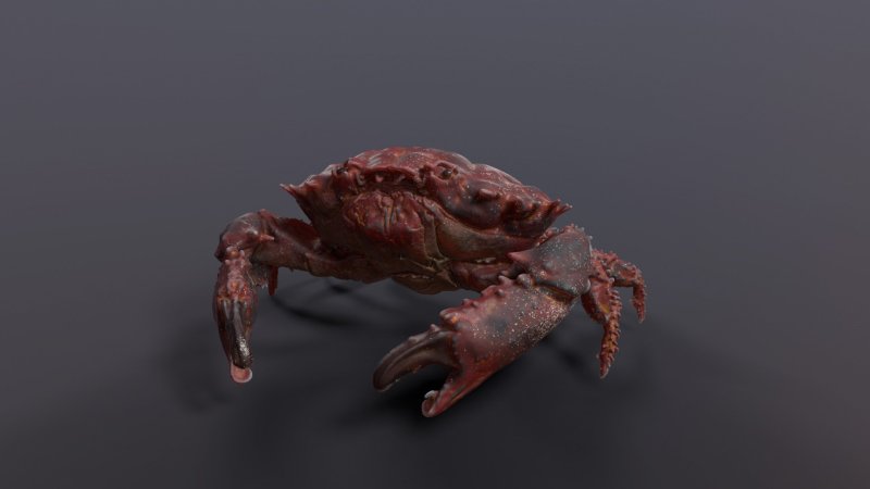 Краб на черном фоне