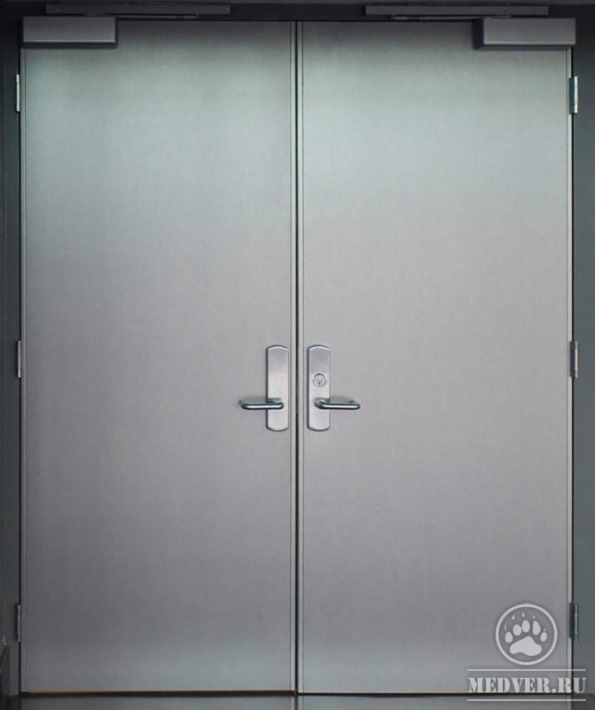 Двойная металлическая дверь