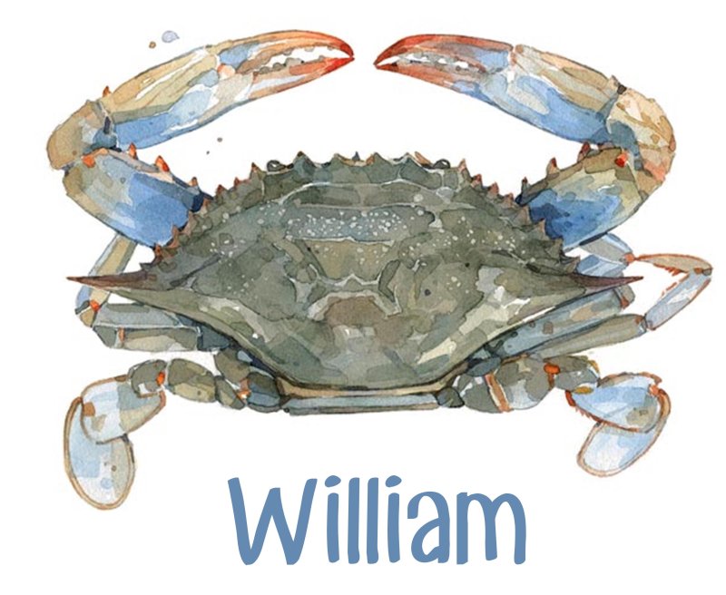 Панцирь краба