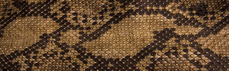 Змеиная кожа