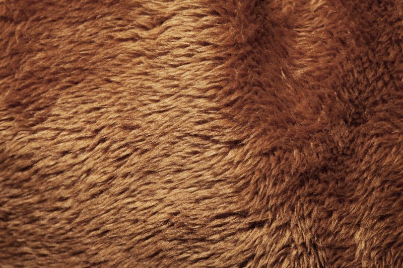 Текстура шерсти