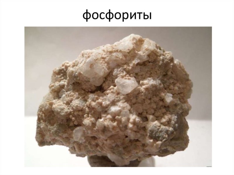 Фосфорит минерал